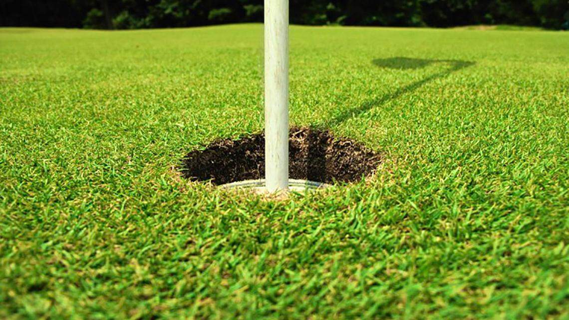 Course review: Eagle Nest a layout on the upswing