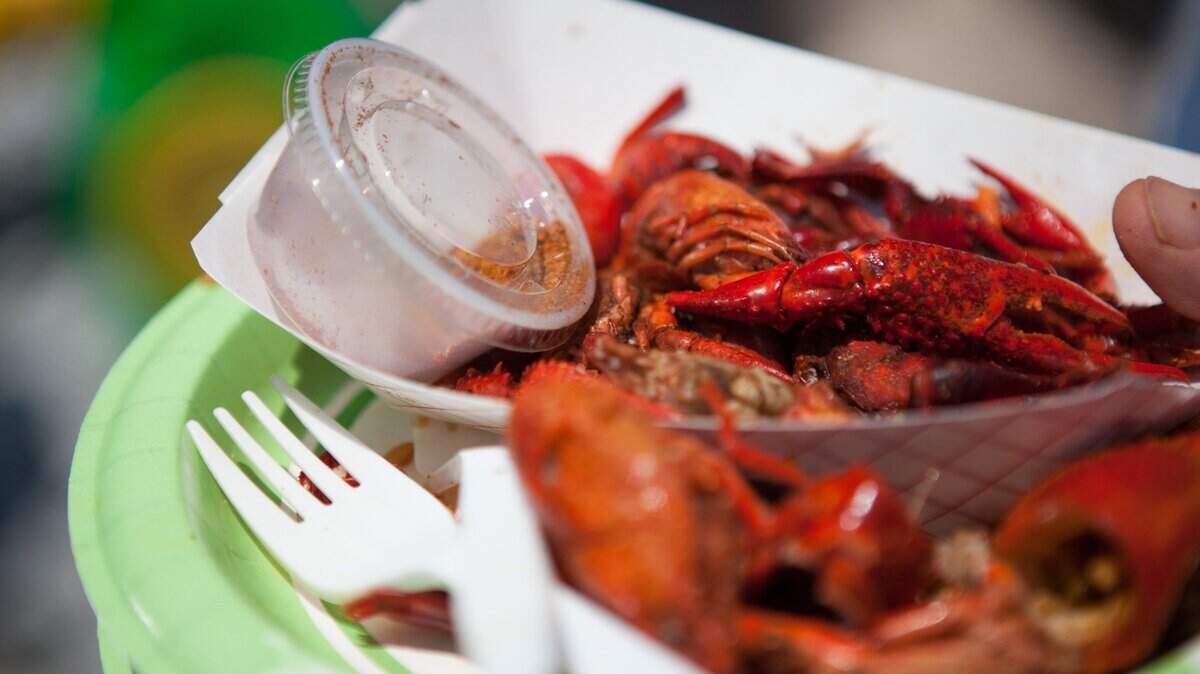 Fresh crawdads are another popular treat. The Little River Blue Crab Festival crowds the narrow streets of the waterfront with people from around the region looking for some great food, live music and a huge selection of vendors.