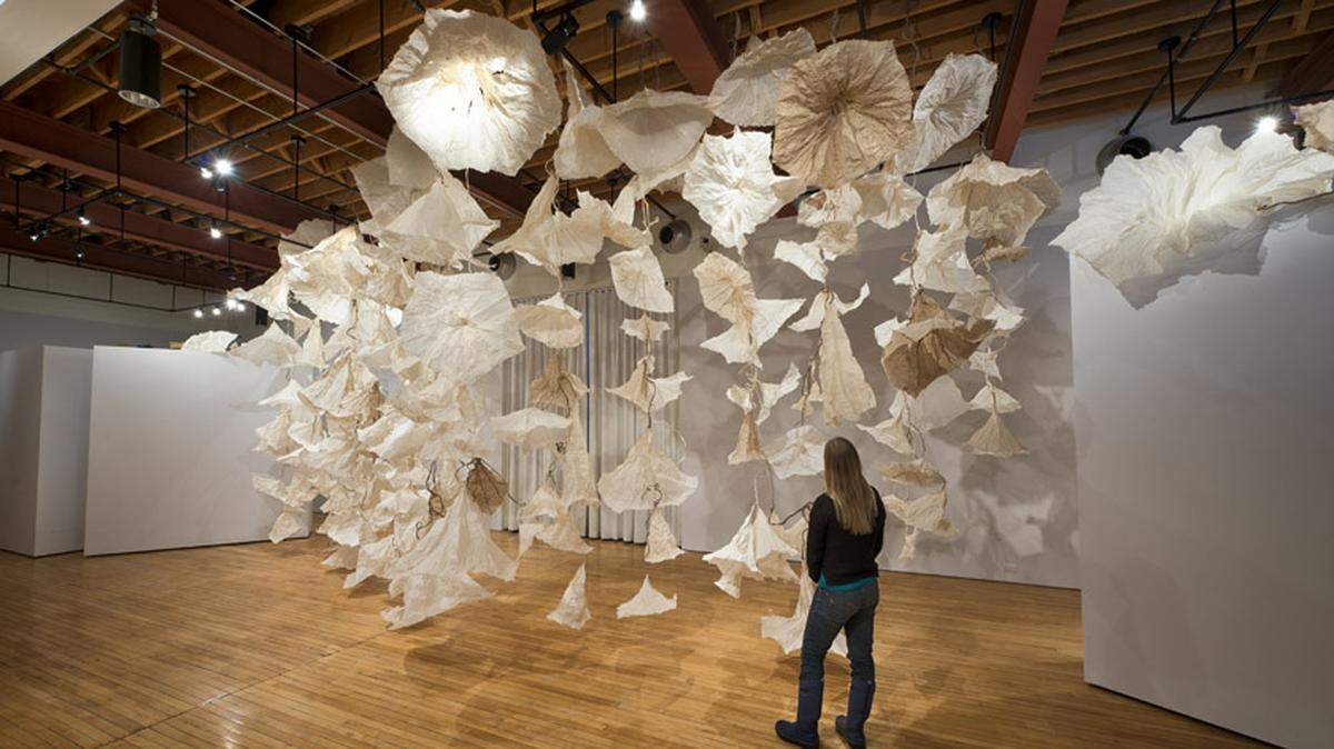 Jocelyn Chateauvert, "Paper in Bloom", Cornell College, Mt. Vernon, Iowa January 2014 through March 2014.