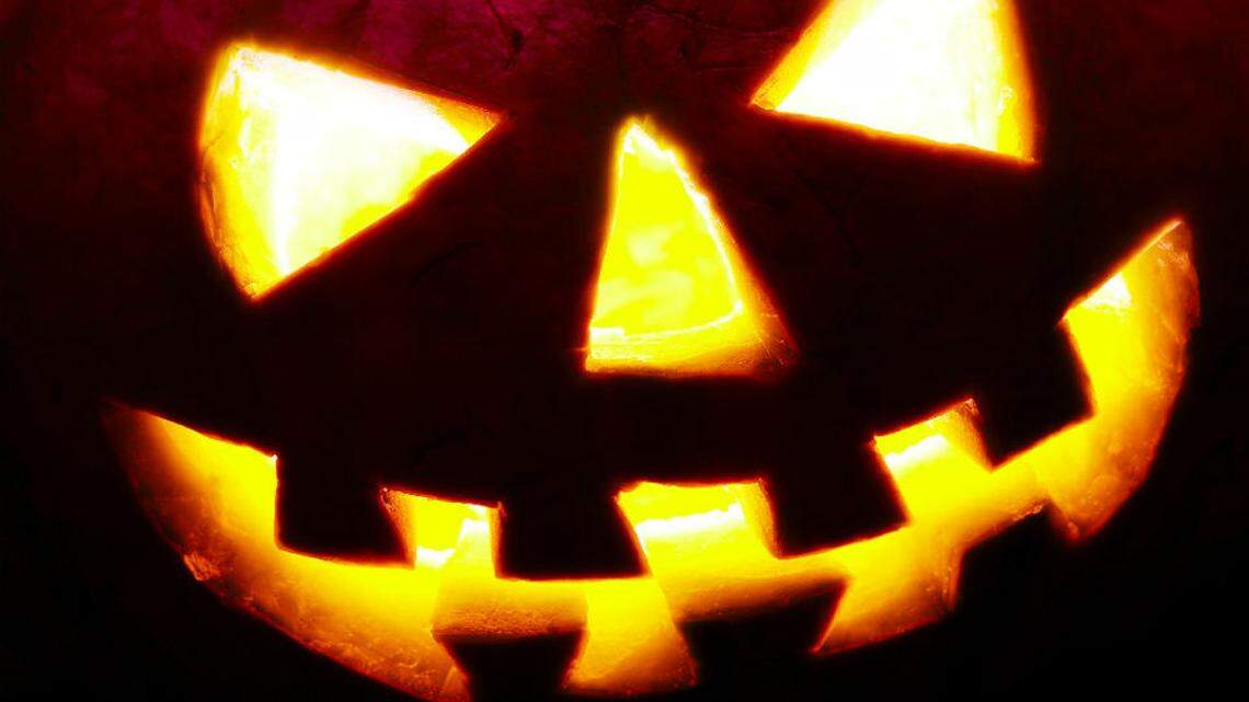 Try these 6 tips to keep your jack-o’-lantern fresh and off the menu for SC critters