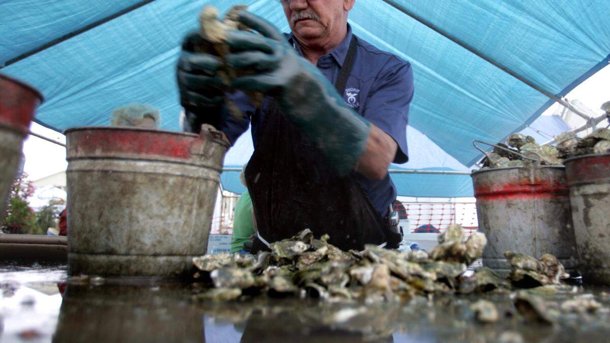 The N.C. Oyster Festival is  9 a.m.-6 p.m. Saturday, Oct. 21, and 10 a.m.-5 p.m. Sunday, Oct. 22, at 8 E. Second St., Ocean Isle Beach, N.C. Admission is $5 ages 12 and older, otherwise free. Details at 910-754-6644 or www.ncoysterfestival.com.