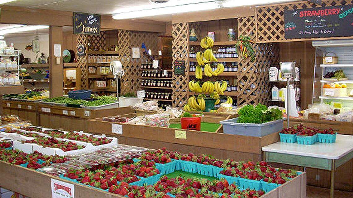 Myrtle Beach area farm offers strawberry picking for Spring