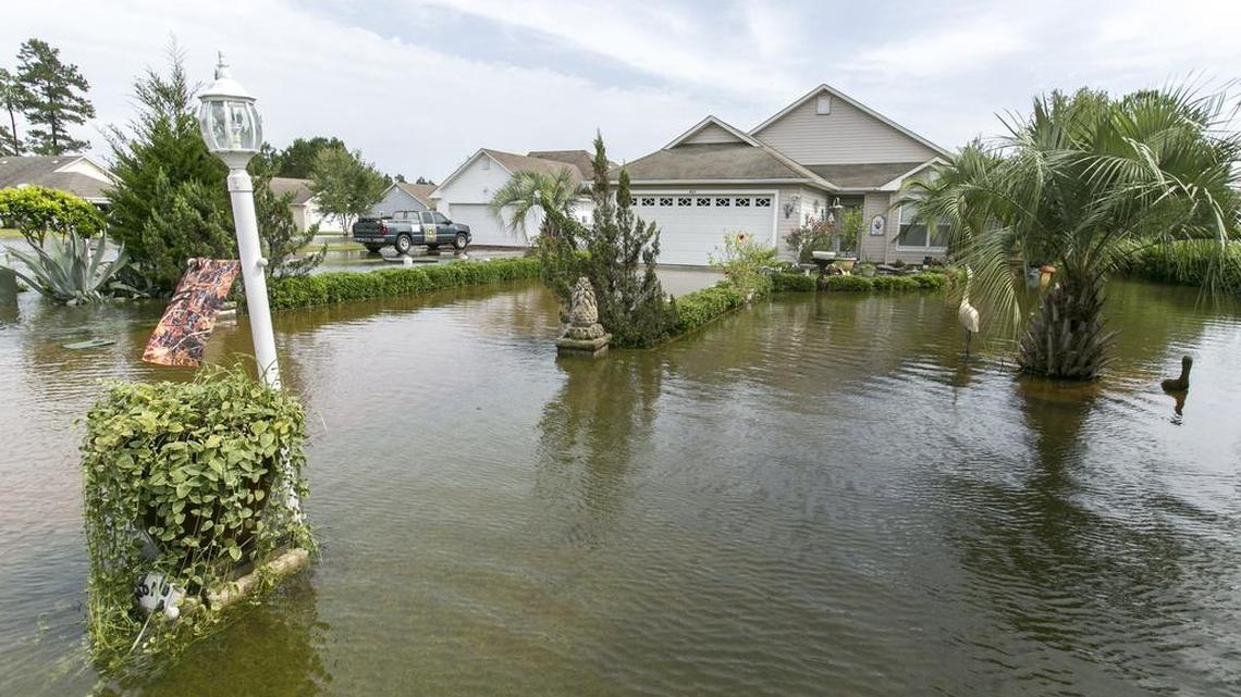 Gardening | Flood recovery for your yard
