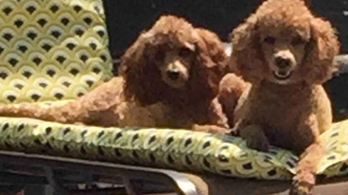 Rubi and Scarlett