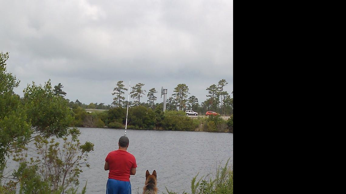 Animal Tales | All About Dusty