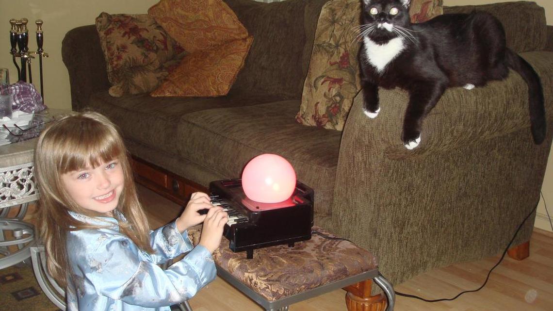 Animal Tales | All about Harley