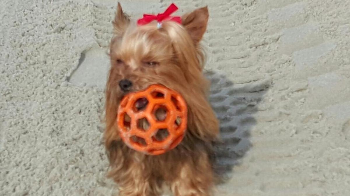 Zoe