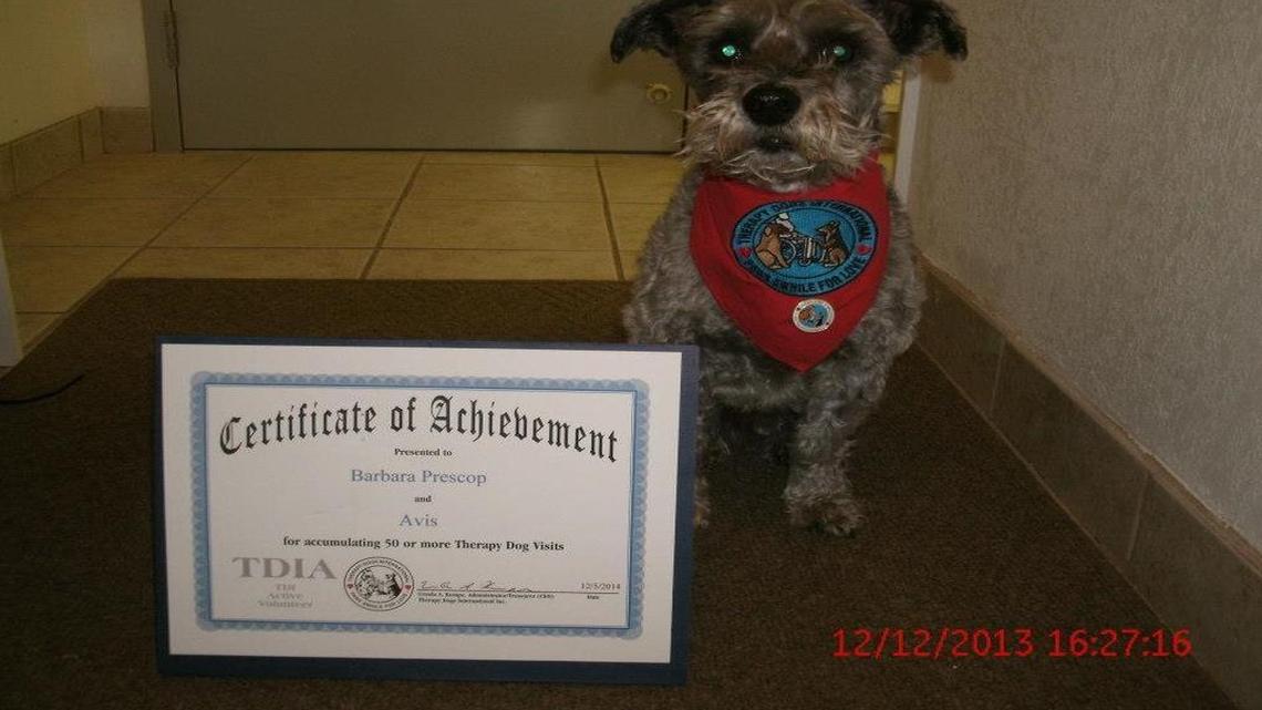 Animal Tales | All about Avis