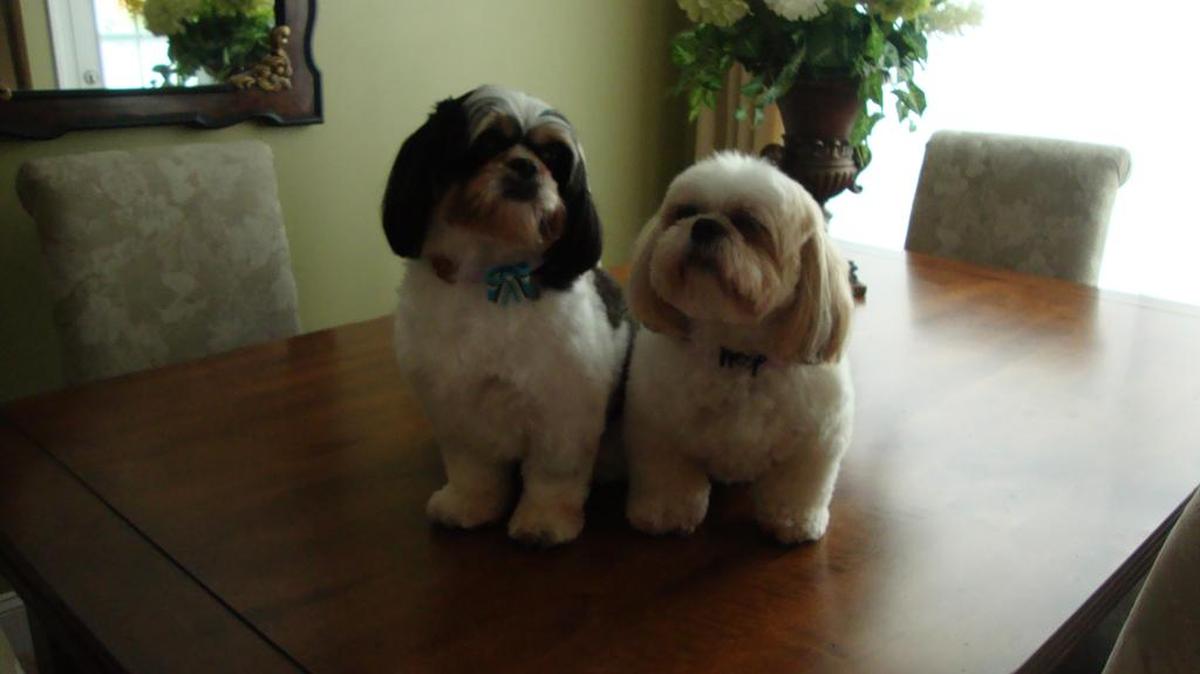 Fletcher and Frankie