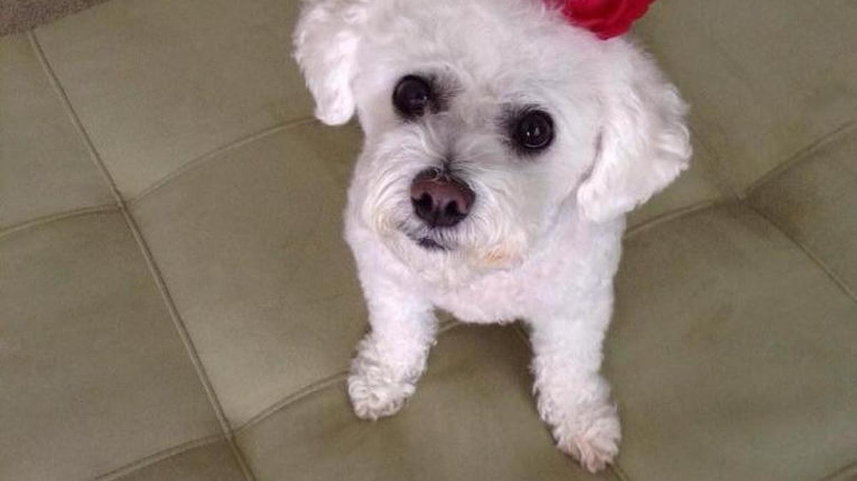 
Daisy.
