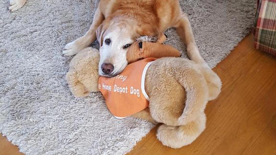 Animal Tales | All about Denny