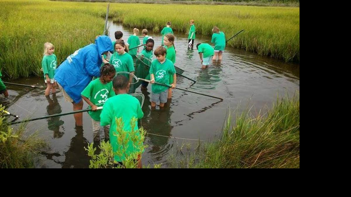 
Children in a summer camp through Brunswick County Parks and Recreation and Communities In Schools wade to explore for wildlife in the water.
