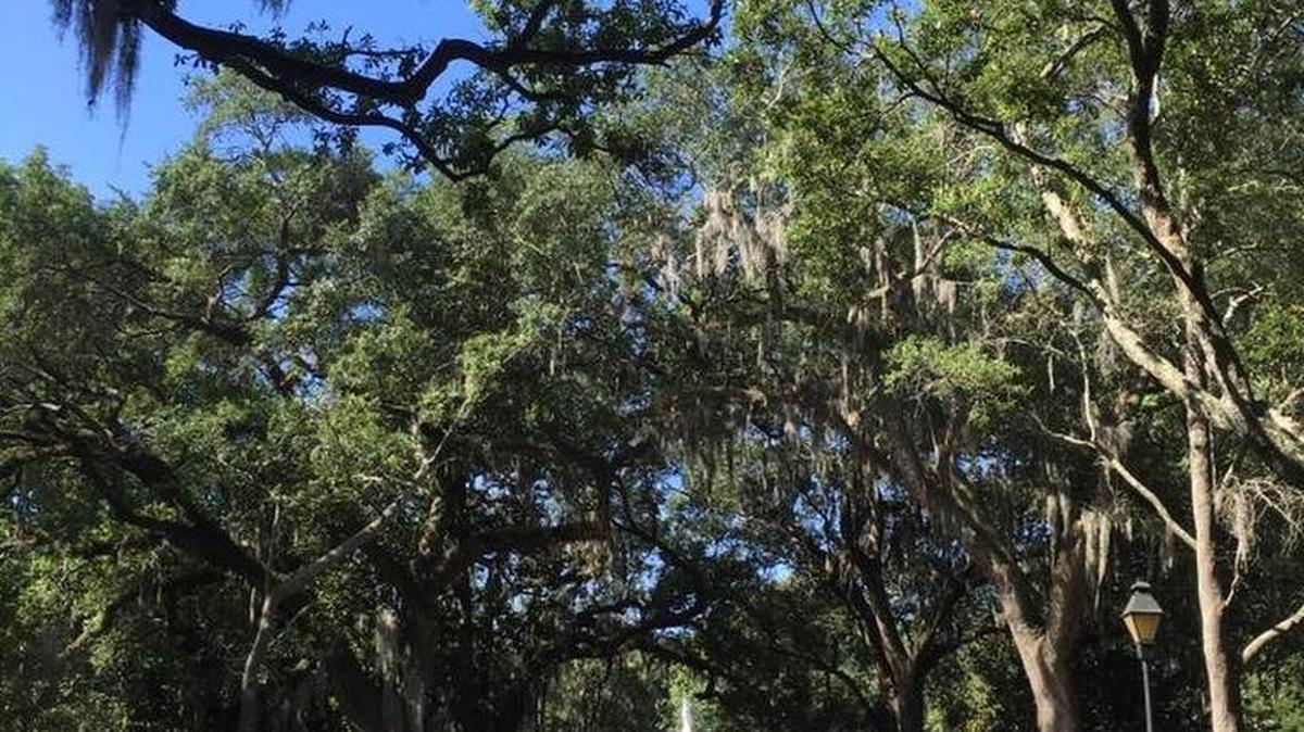 Forsyth Park is a popular place for joggers, cyclists, families and tourists. There are huge fields on either side of the walking path for recreation, a cafe, a water splash area, monuments and, of course, the fountain in the center.