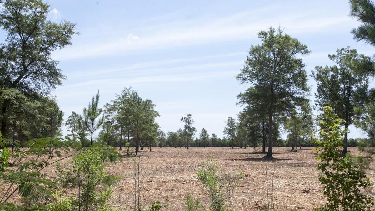 Burroughs & Chapin Co. Inc. wants to take back control of this Shetland Lane property it owns adjacent to the Myrtle Beach airport where Horry County has held the option to purchase the land for more than a decade.