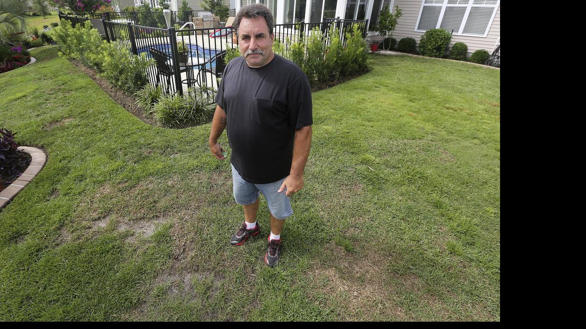 
Joe Lombardo surveys his lawn near Carolina Forest on Thursday, July 9, 2015. He said his lawn is growing back from bare patches after he used a Scotts weed and feed product. He said Scotts representatives have worked with him and are helping him get his lawn reestablished.
