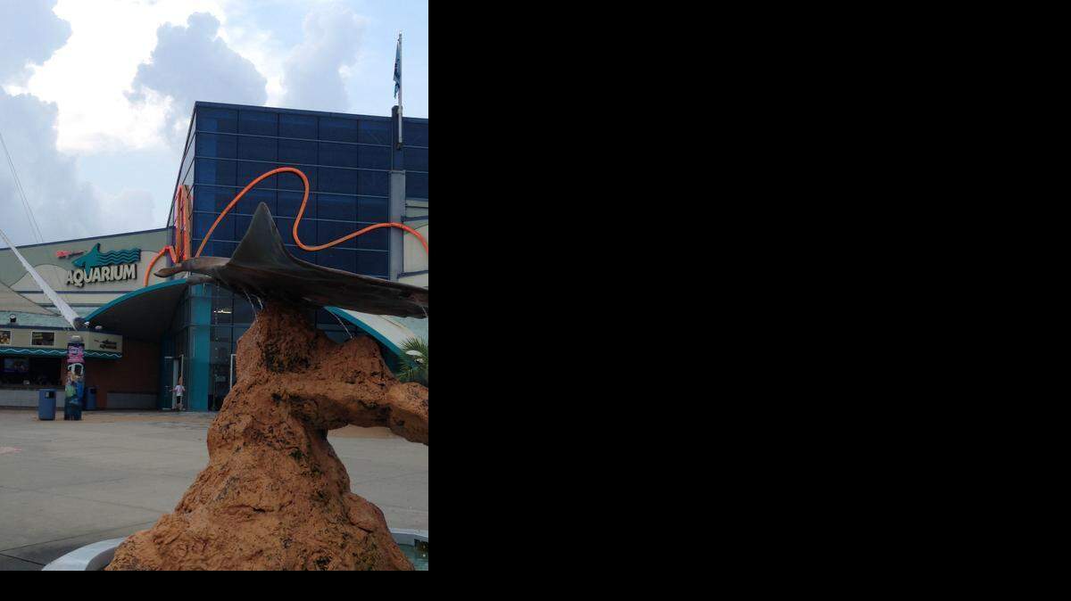 
Ripley’s Aquarium at Broadway at the Beach
