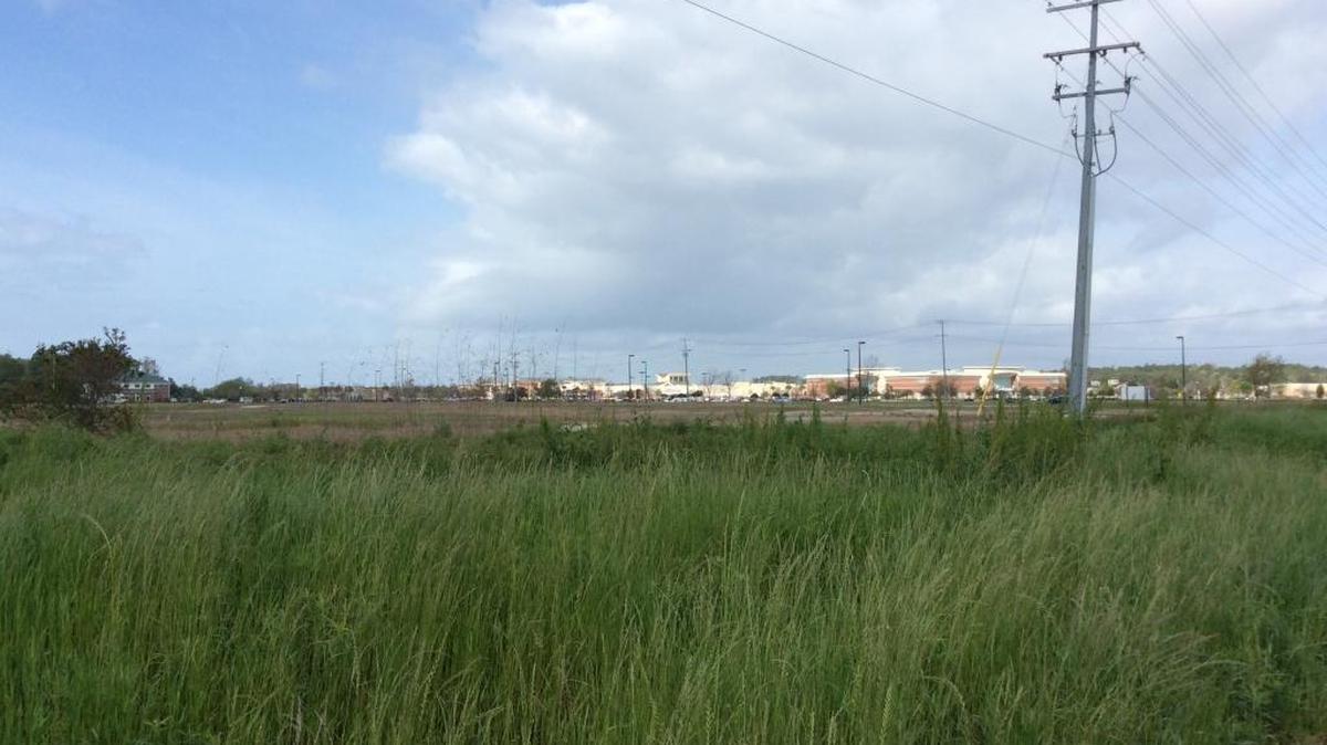 A vacant lot covered by weeds at the intersection of Pine Island Road and Robert Grissom Parkway would be converted into retail space under a proposed development plan.