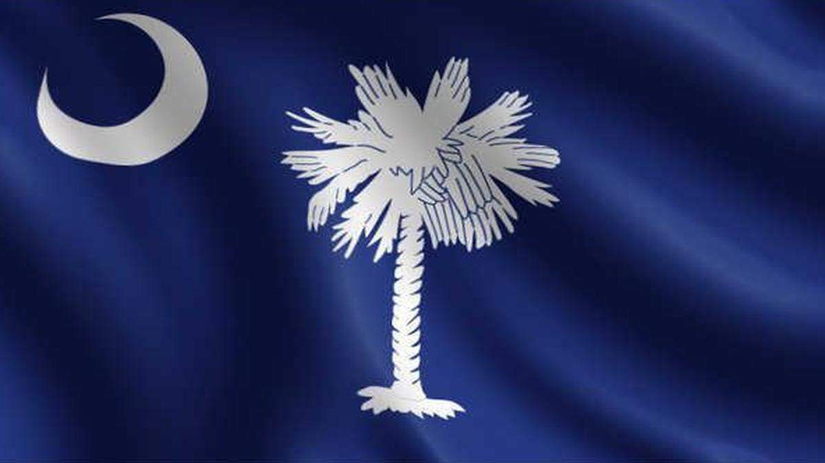The South Carolina flag.