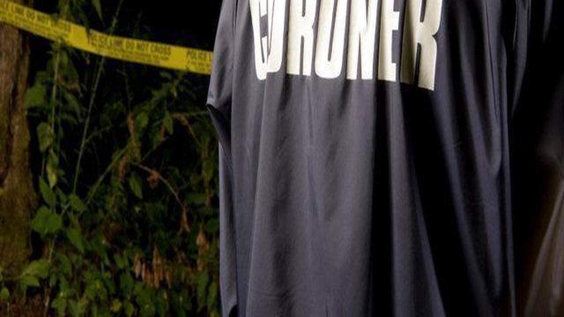 2014 Horry County homicide database