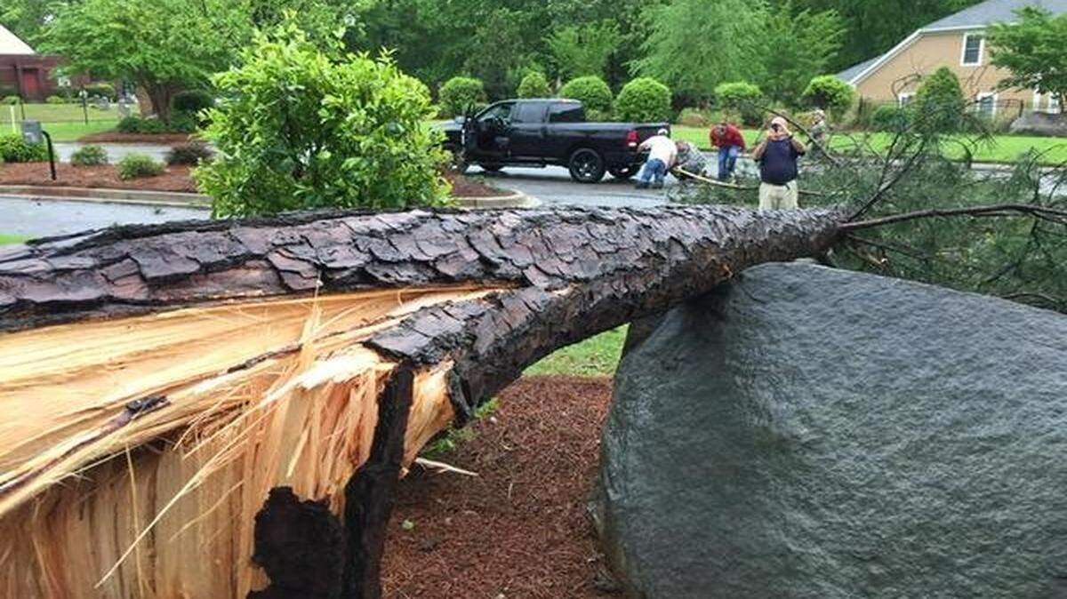 
A downed tree in the Turners Pointe neighborhood on the western side of Lake Murray 
