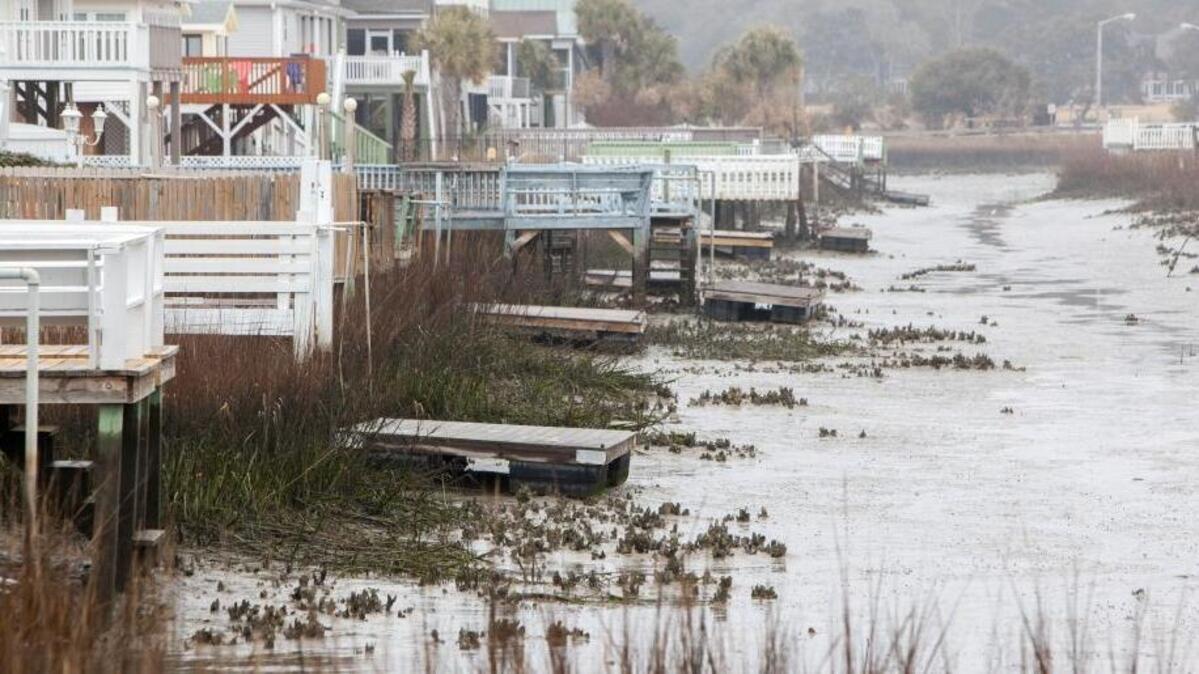 Canals in the Cherry Grove section of North Myrtle Beach go nearly dry at low tide exposing oyster rakes and pluff mud.