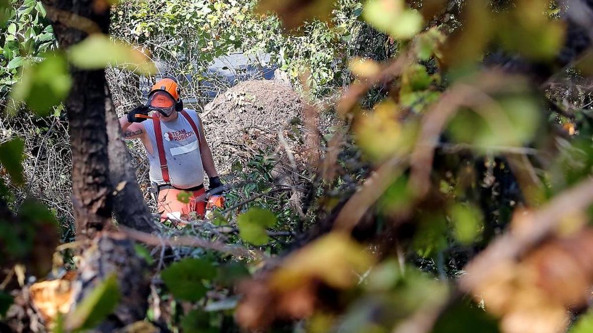 Jacob Nilz of Team Rubicon, a non-profit group covering Horry County, cuts up fallen trees off Rainbow Avenue in Myrtle Beach on Wednesday, Oct. 19, 2016.