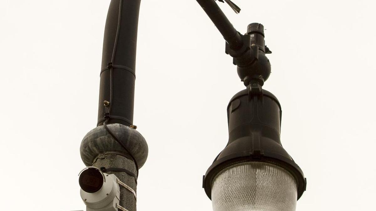 A mockingbird perches on a light pole above surveillance cameras at a beach front access point in Myrtle Beach. The city is completing an installation of 800 surveillance cameras in high traffic areas throughout Myrtle Beach.