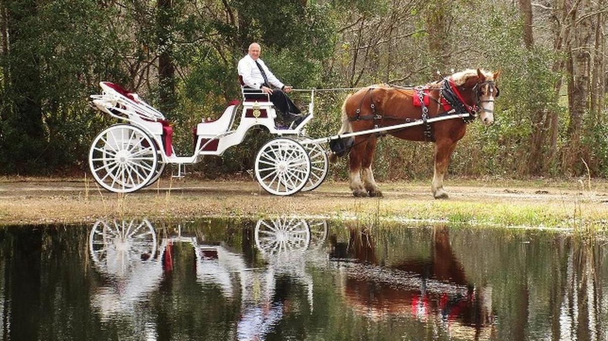 Southern Enchantment Carriage Service will begin offering carriage rides on the Grand Strand this month.