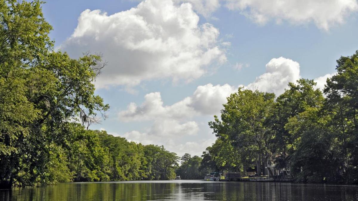 This photo shows a section of the Waccamaw River, north of Conway, as seen from a paddle. Keeping area waterways and natural resources healthy and safe is the focus of the “2016 Waccamaw Conference: Weather and Climate in Your Watershed,” 8:30 a.m.-12:30 p.m. March 5 at the Horry-Georgetown Technical College Grand Strand Campus Conference Center, in Myrtle Beach, near The Market Common.