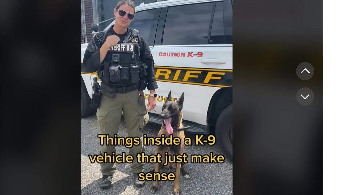 A screen grab of of an Horry County Sheriff’s Office TikTok clip.