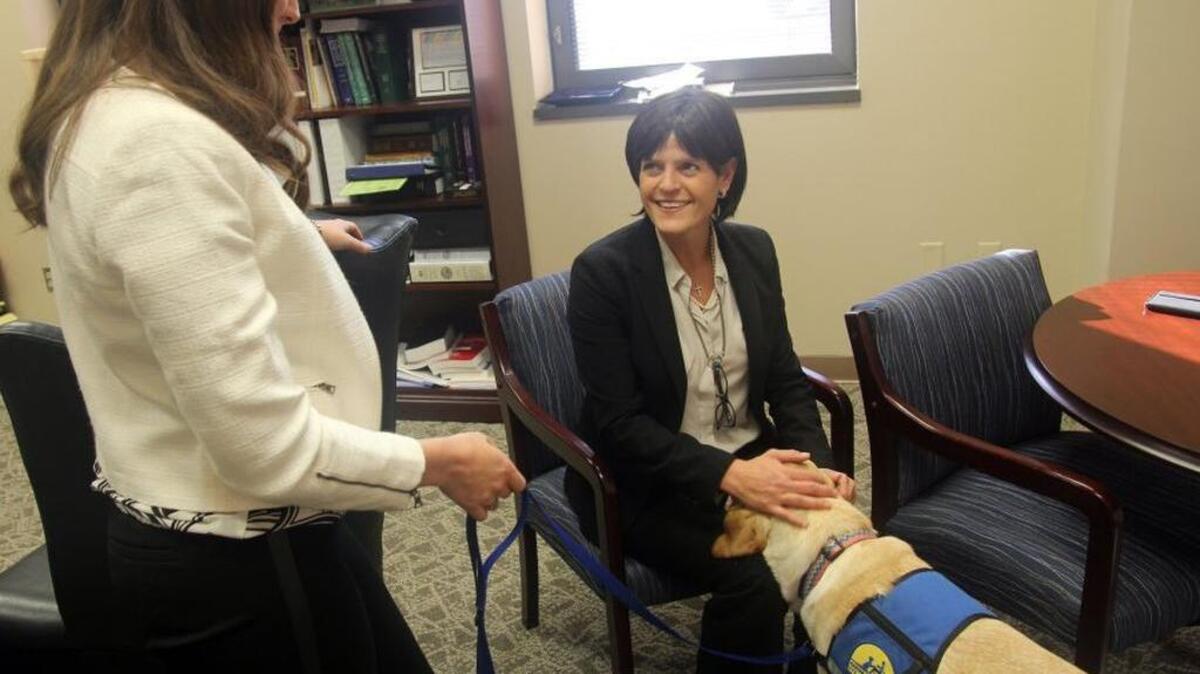 Assistant 10th Judicial Circuit Solicitor Chelsey Moore, left, and Solicitor Chrissy Adams give some cuddles to Roma, the first courtroom dog in South Carolina.