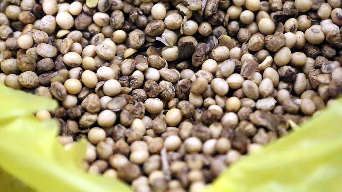 Robert Hunt was sentenced for crop insurance fraud when he underreported his wheat and soybean crops. 