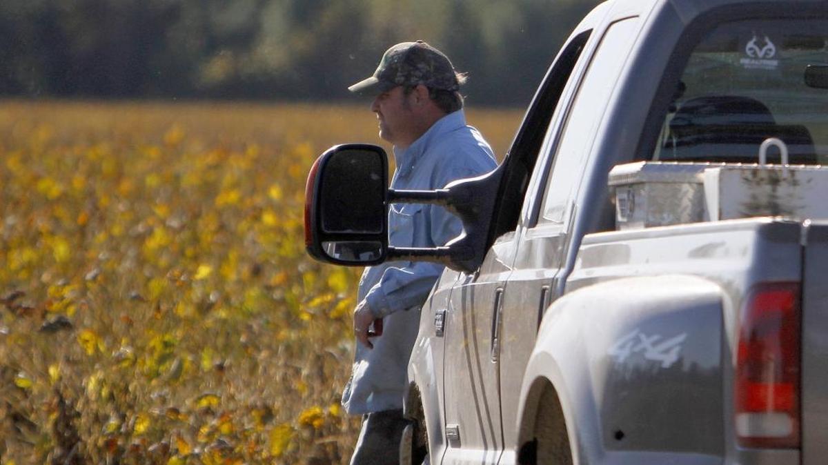"It's just been bad since the day I planted to be honest with you," Drew Martin says standing on the edge of a soy bean field off Nichols Highway on Wednesday, Oct. 21. He looks out on the drying plants saying it's a total loss. Since the beans were planted in May, Martin said, there was an extreme drought topped off with the recent flood. "They're just rotten. But, the farmer just keeps going and keeps trying again," he said. Martin, 34, has been farming since he was graduated from high school in 1999, the same year as Hurricane Floyd.