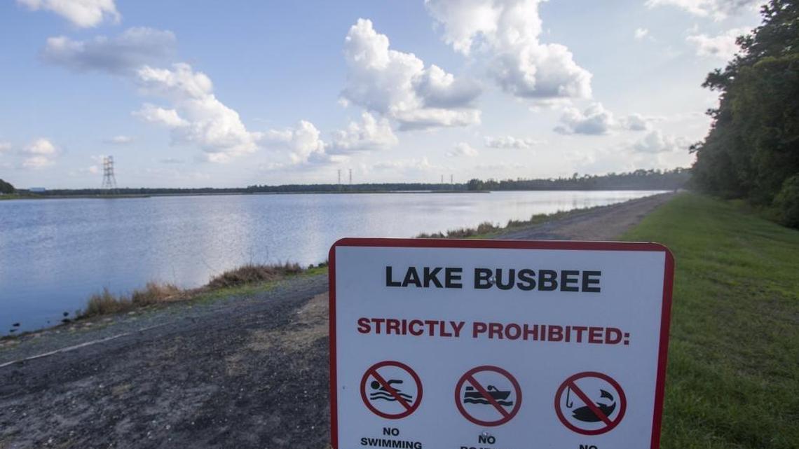 Lake Busbee, an industrial cooling pond built in the 1960s, will return to wetlands planted with native species.