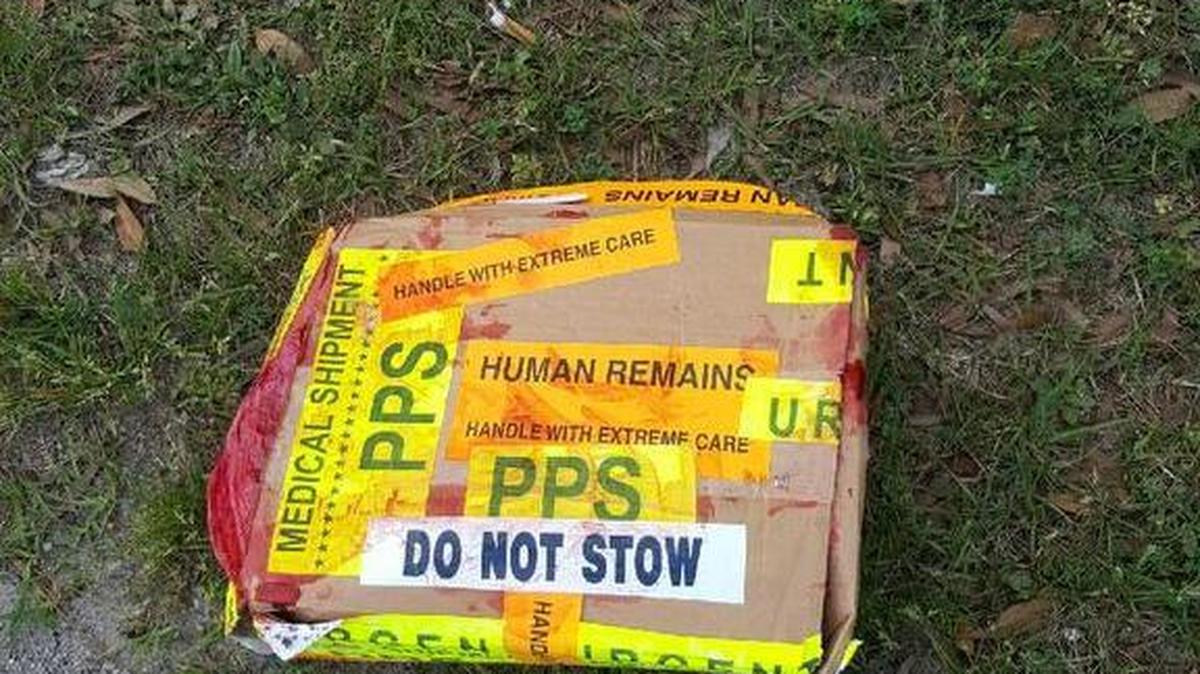 A blood-soaked box labeled ‘Human Remains’ was discovered near Palmetto Pointe Boulevard and Cape Landing Circle Thursday morning.