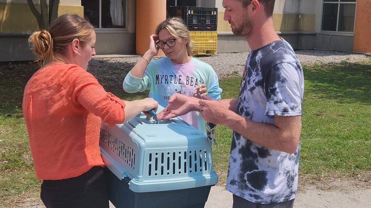 Grand Strand Humane Society executive director Jessica Wnuk, left, accepts a stray kitten turned over by Cassidy and Jake Hubbard on June 18, 2023.