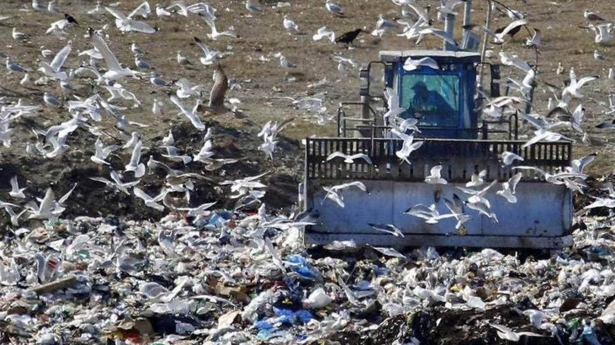 Operators crush trash at the Horry County Solid Waste Authority landfill outside of Conway.