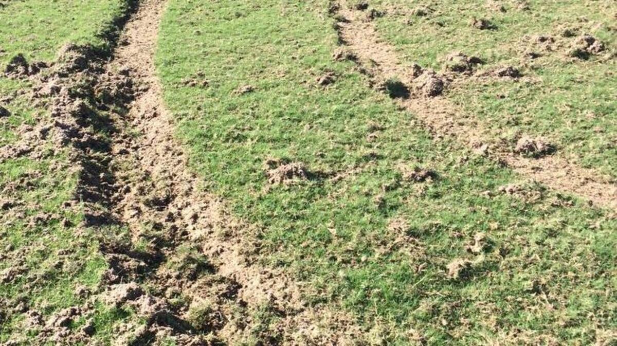 
Fields at Stables Park in Pawleys Island were vandalized when a vehicle drove through them. The park is temporarily closed until further notice.
