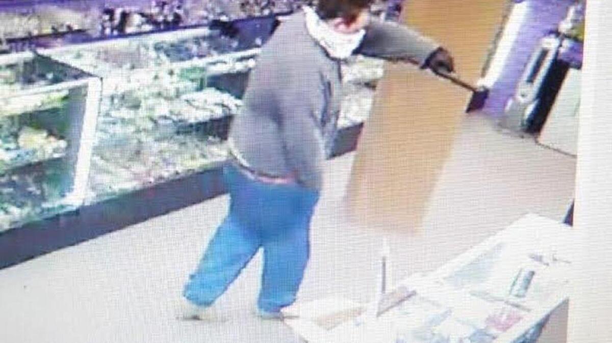 Horry County police are looking for this armed robbery suspect.