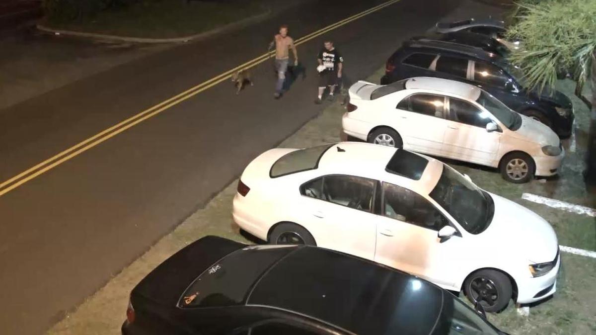 Police are asking anyone who recognizes the individuals or dogs captured in this surveillance image to contact Detective Allen Amick of the Myrtle Beach Police Department at 843-918-1382 or 843-918-1908.