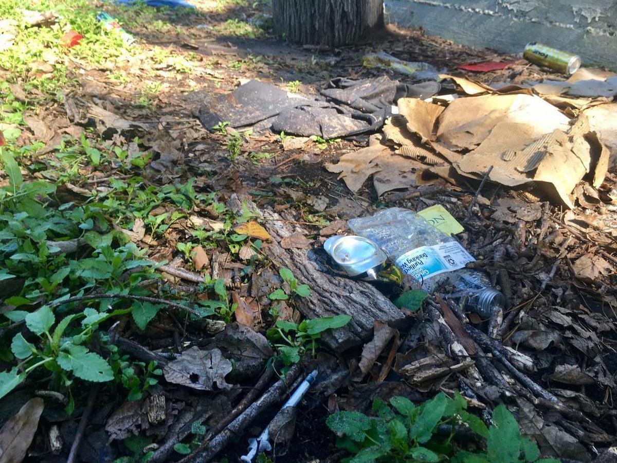 A needle pokes up through the leaves near trash behind a building along 3rd Avenue South.
