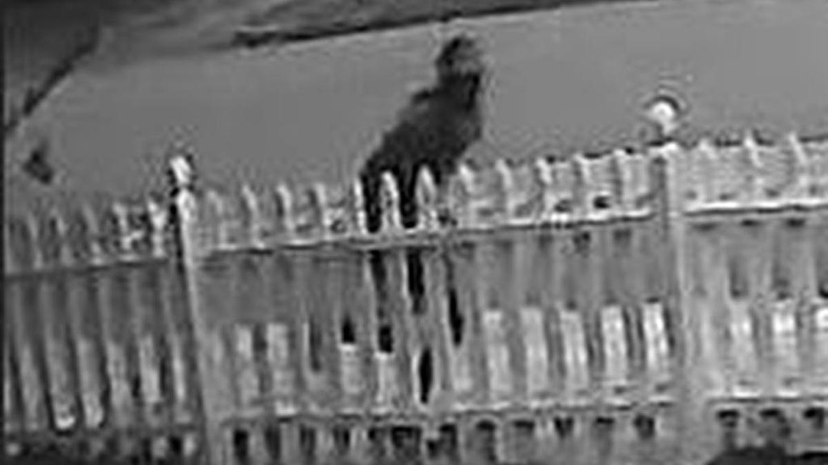 Conway police are seeking to identify the subject in this surveillance photo. Anyone with information can call the Conway Police Department at 843-248-1790.