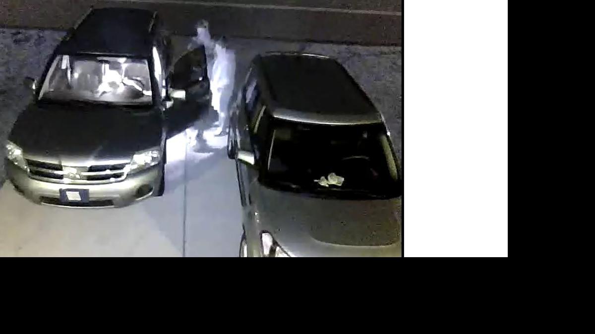 
Police are looking for these suspects in connection with the car break-in. Anyone with information about this incident is asked to call the Conway Police Department at 248-1790. 
