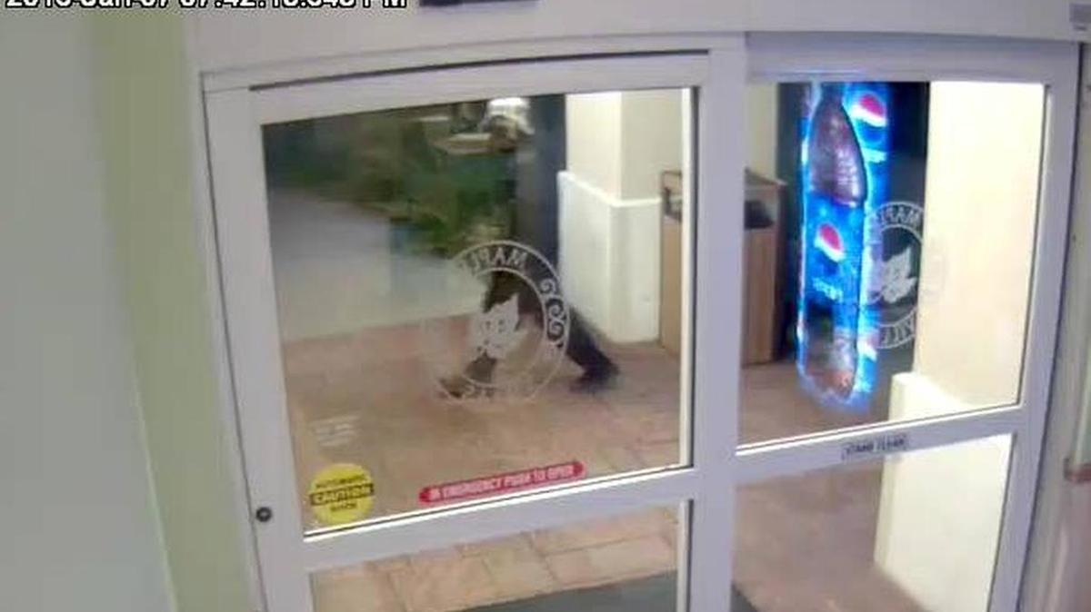 Myrtle Beach police are seeking information on the purse-snatching suspect in this hotel surveillance photo. Anyone with information can call Myrtle Beach police at 843-918-1382.