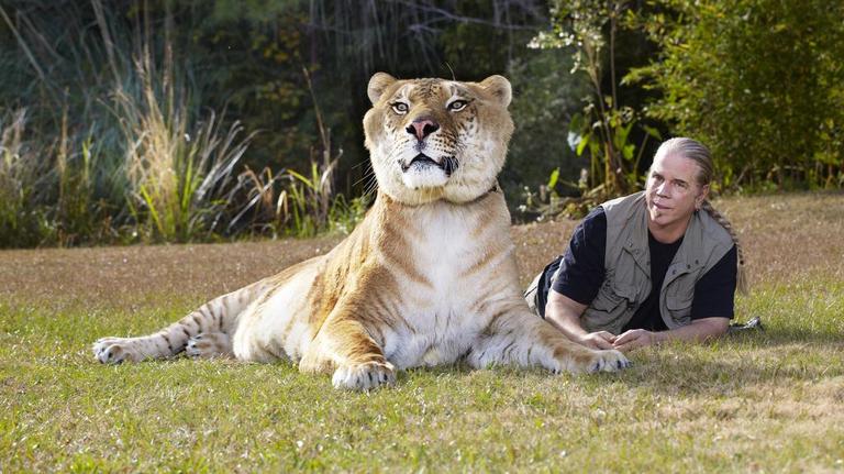 Myrtle Beach ‘Tiger King’ star could face 20 years for buying endangered animals.  