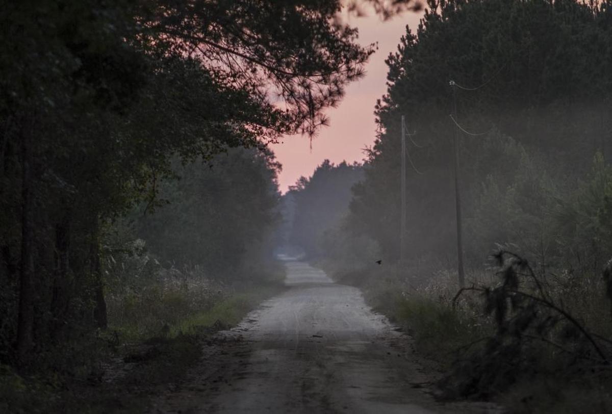 The sun sets over Gilbert Road, the site of a decades-old legend of a woman searching by lantern for a child lost in a flood in the 19th Century. The road has long drawn visitors who have claimed to see unexplained lights in the nearby swamp outside of Conway. Oct. 29, 2016.