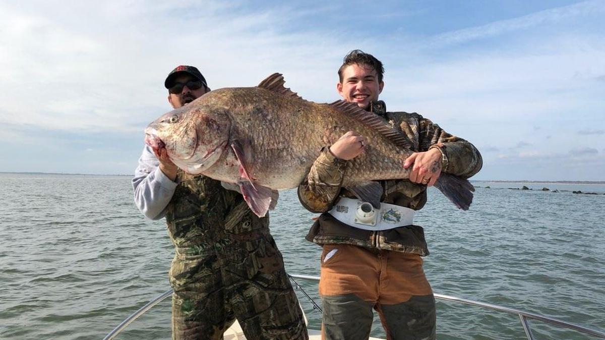 Adam Kirby and Alistair Bremner pose with a massive black drum they caught on a recent fishing trip off the shoreline nears Murrells Inlet.