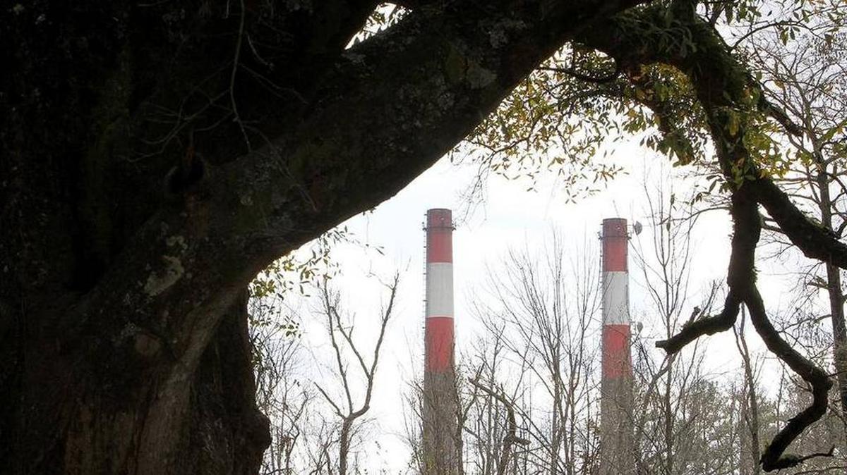 The 300-foot tall stacks at the Grainger Generation Station in Conway will be toppled at 8 a.m. Sunday. Santee Cooper officials said on Friday, Feb. 5, 2016, a series of explosions at the base of the stacks will cause the stacks to fall like trees. The Dolphus M. Grainger Power Station was retired at the end of 2012 after 50 years of coal-fired power generating. The stacks are visible throughout Conway. The plant is located off U.S. 501 bypass near Savannah Bluff. The public is invited to watch the towers fall and plant officials suggest watching the event from the walking trail at Lake Busbee. U.S. 501 in front of the plant will be blocked to traffic for a few minutes as the stacks fall. The bypass exit ramps and a section of Marina Drive will be blocked off for a longer period on Sunday as the dust settles.