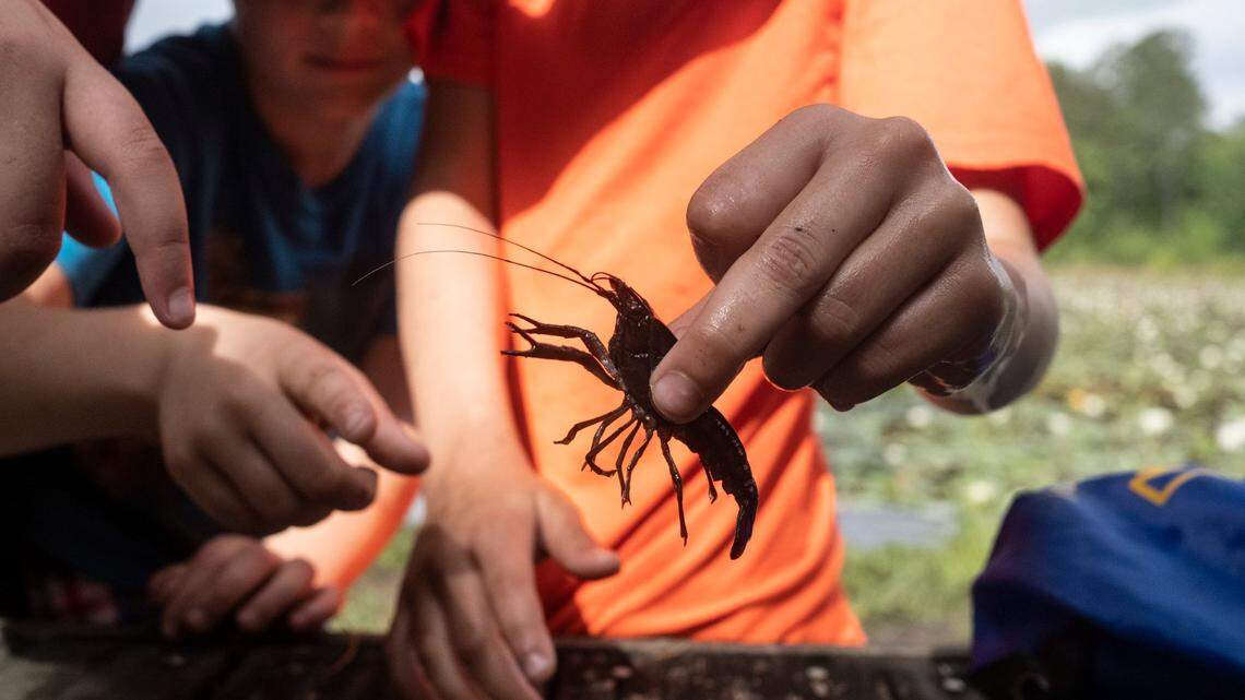 Do you own a home near a top ranked school in Horry County or plan to? We have the list.