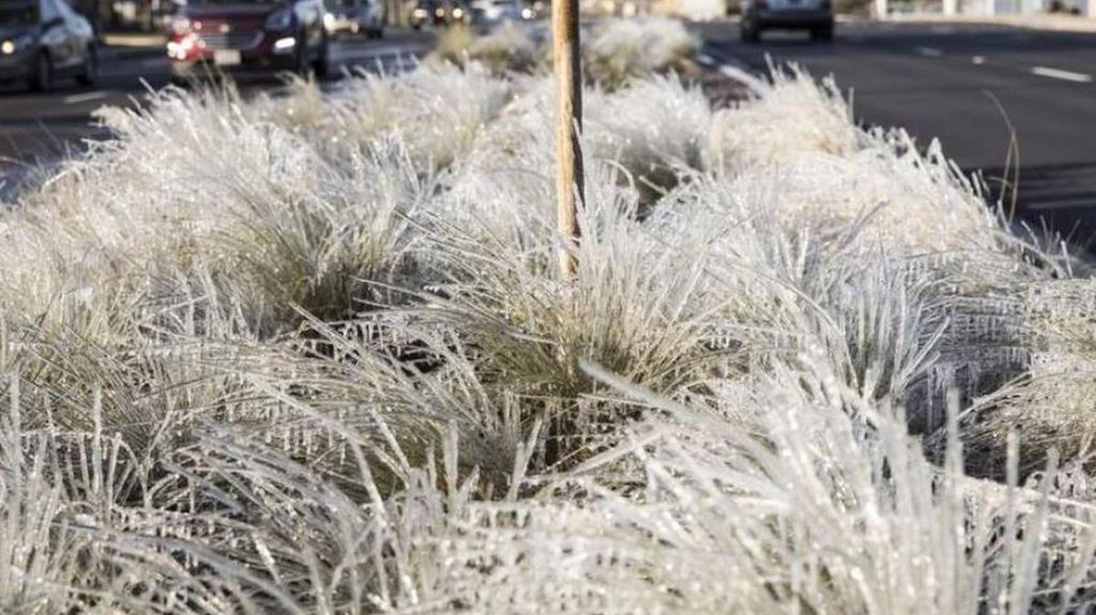 Grass in the median of an area roadway is covered with ice due to Wednesday’s winter storm.